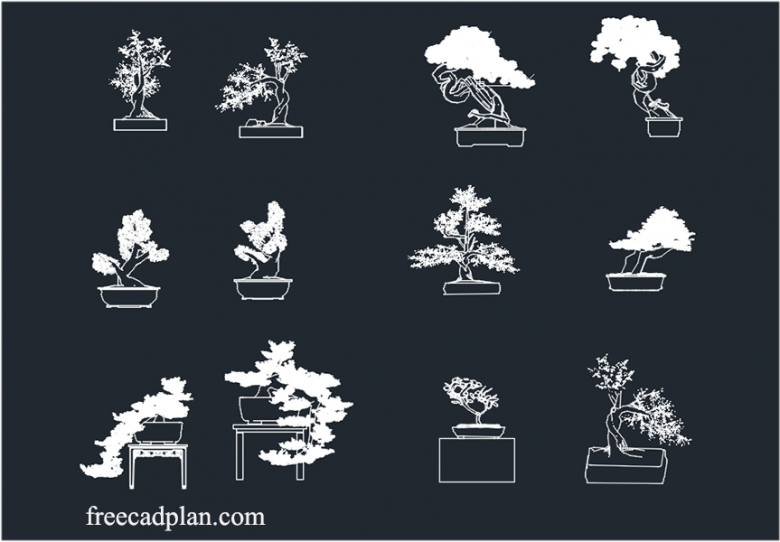 Bonsai tree dwg cad block in autocad free cad plan